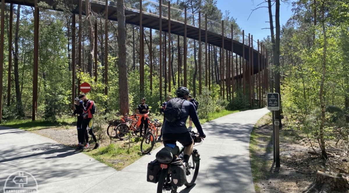 Wandelen en fietsen in de omgeving